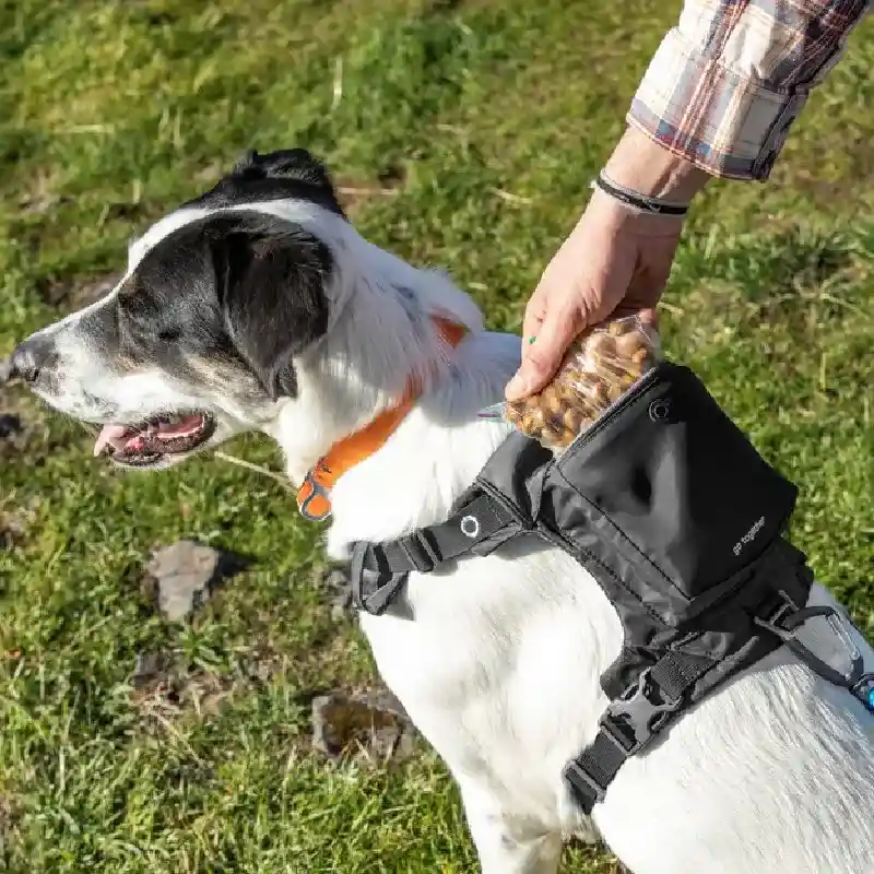 Stash N Dash Harness Black Sm