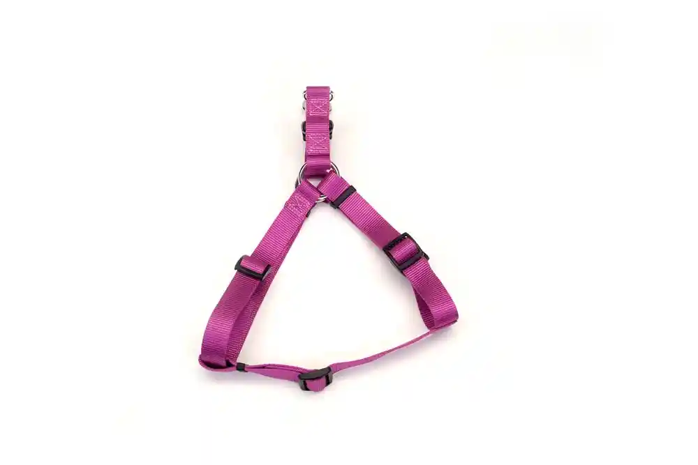1' Adj Harness Large Orchid