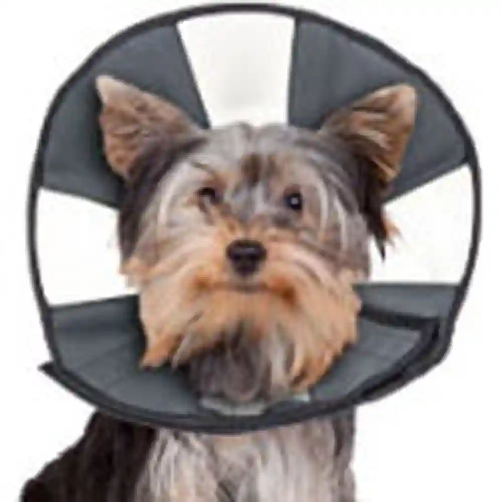 ZENCONE SOFT RECOVERY CONE SMALL