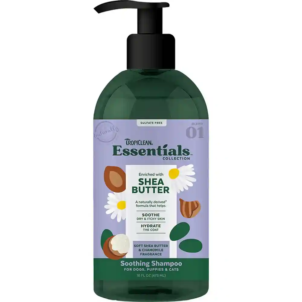 ESSENTIALS SHEA BUTTER SHAMPOO 16oz