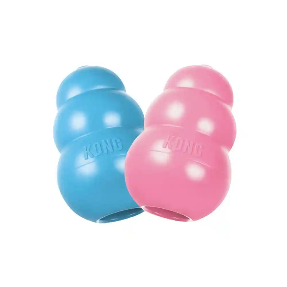 Kong Puppy (small)