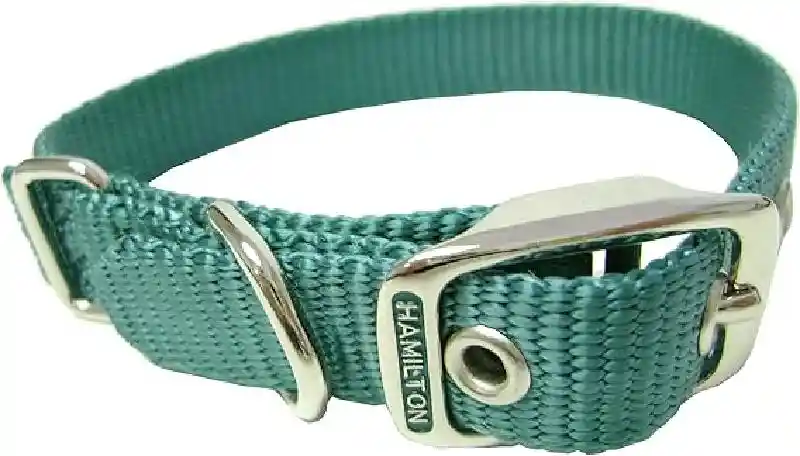Collar Dog St 5/8' Teal 20''e St Ham