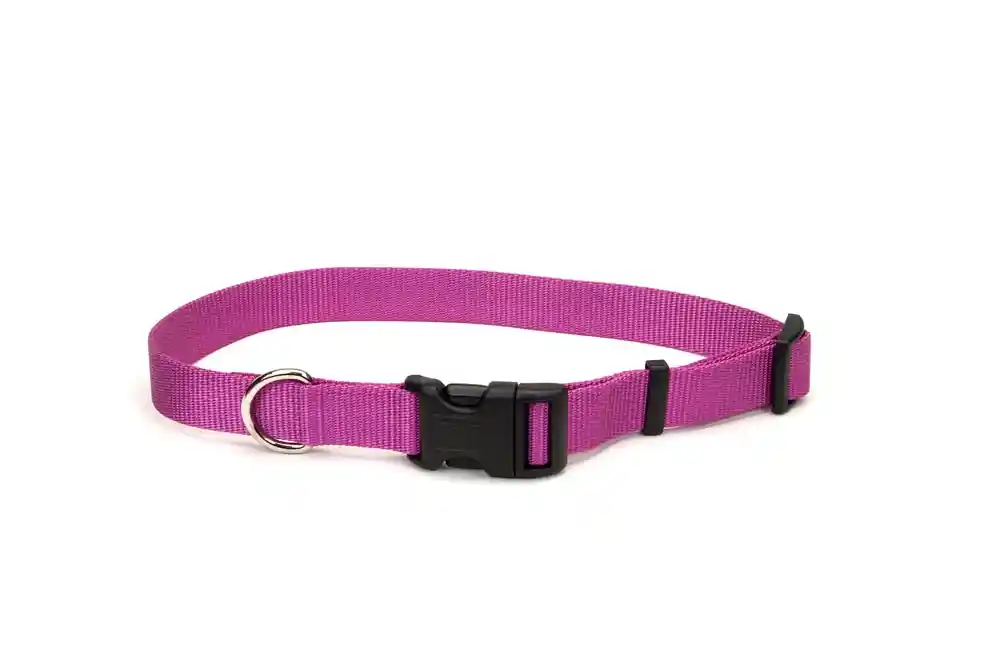 Adj Collar Large Orchid