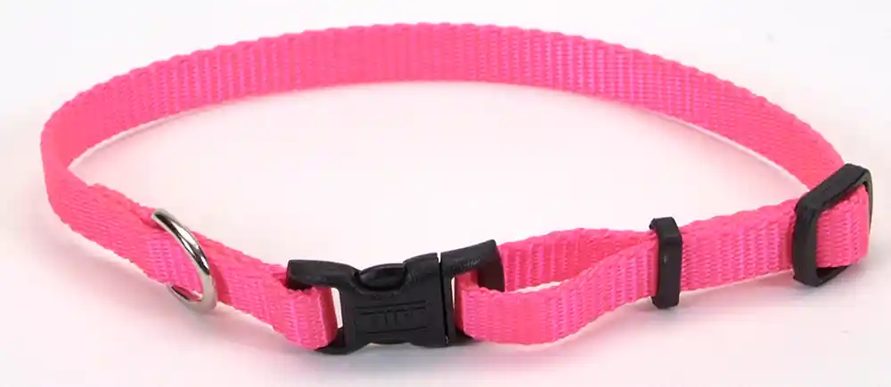 Adj Collar Xsmall Neon Pink