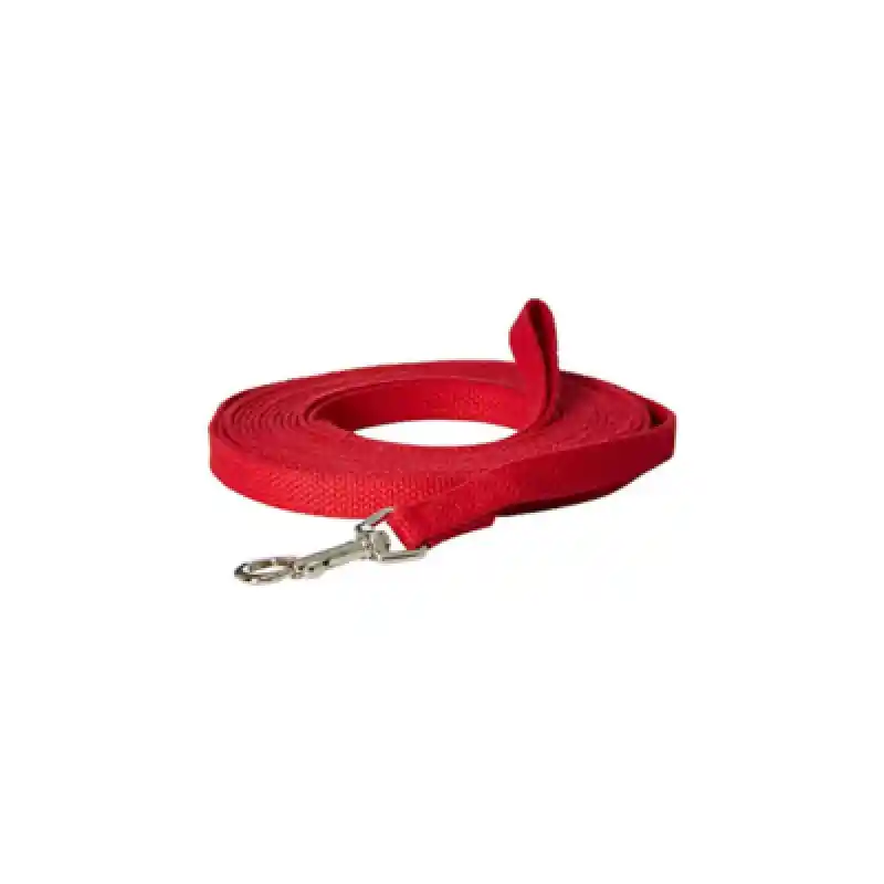 Web Cotton Train Lead 15ft Red