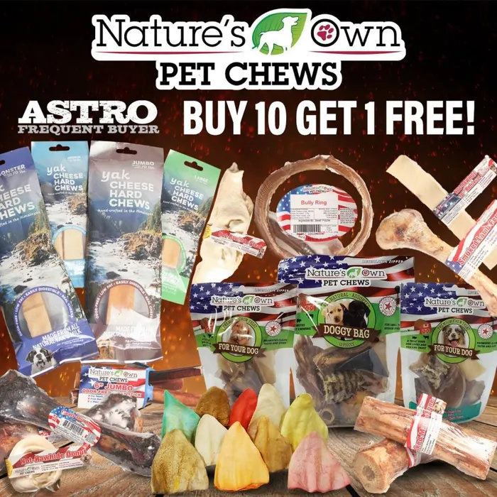 Promotion Image