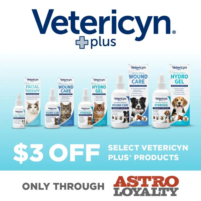 Promotion Image