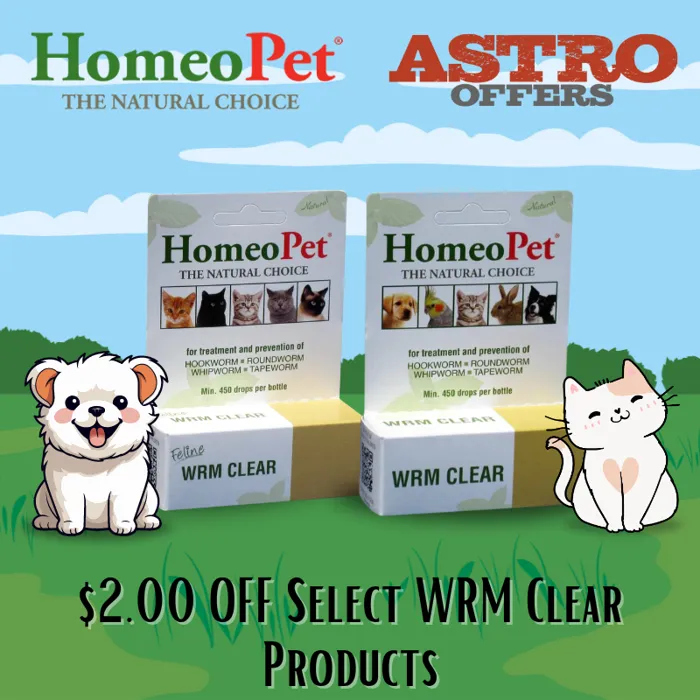 Promotion Image