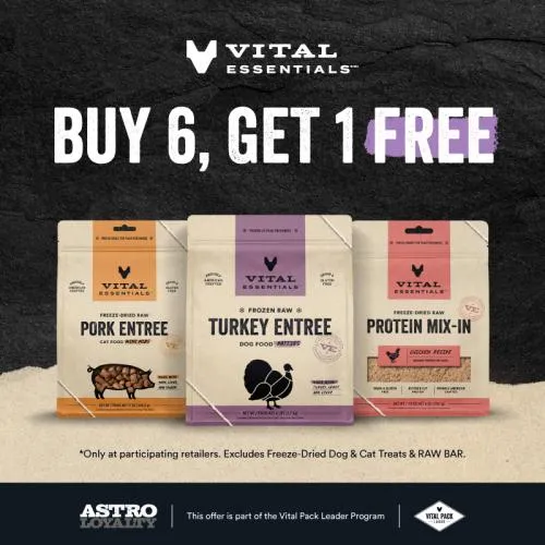 Promotion Image