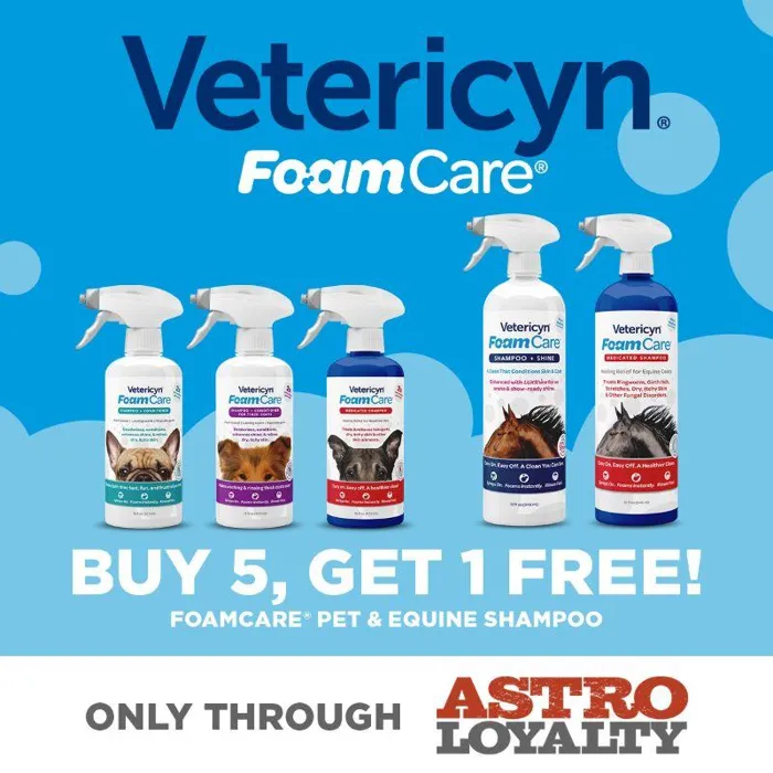 Promotion Image