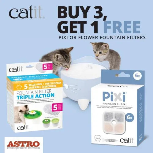 Promotion Image