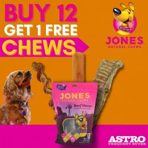 Promotion Image