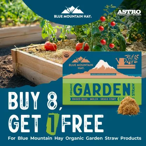 Promotion Image