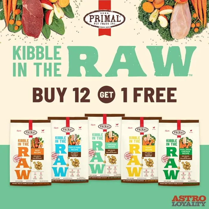 Promotion Image