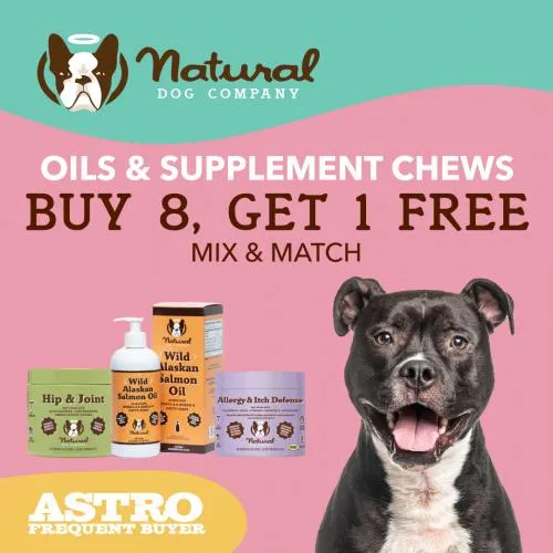 Promotion Image