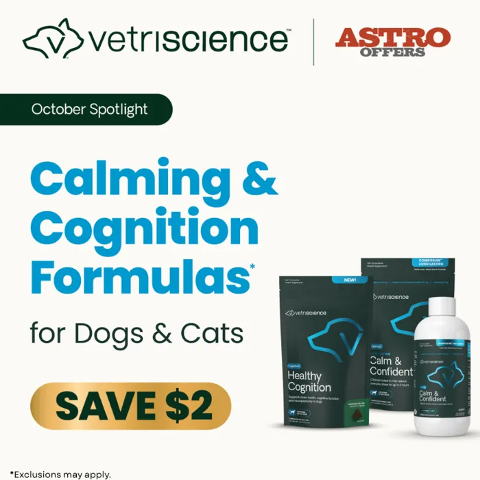 Promotion Image