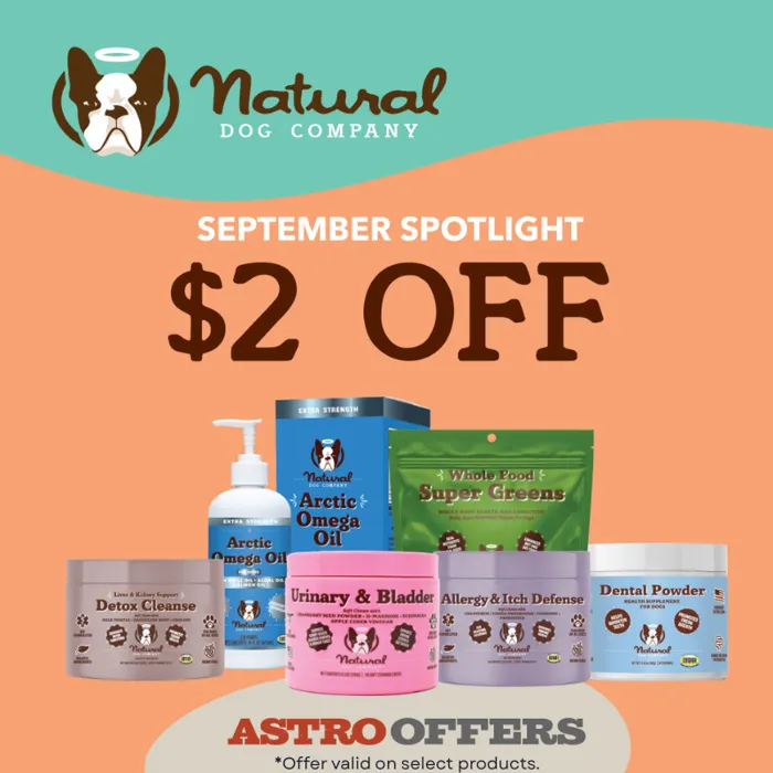 Promotion Image