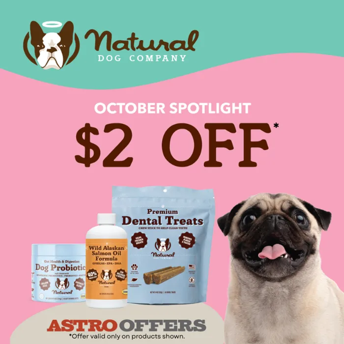 Promotion Image