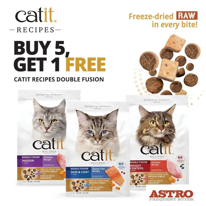 Promotion Image