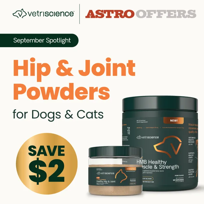 Promotion Image