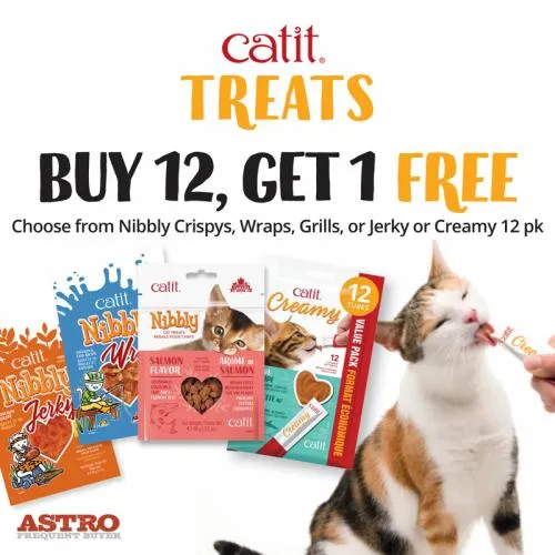 Promotion Image