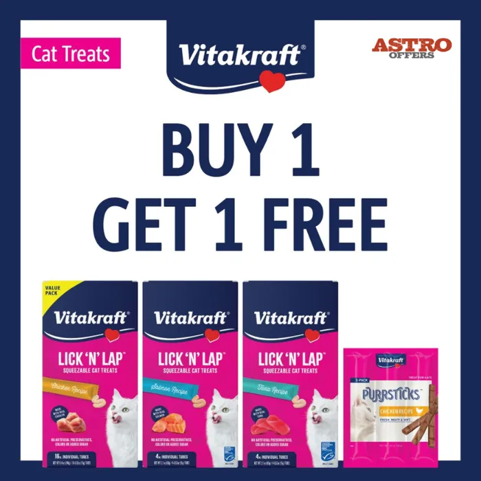 Promotion Image