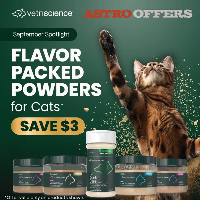 Promotion Image