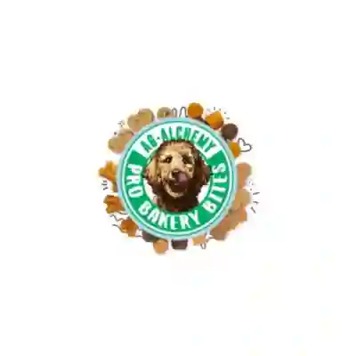 Image Alternative Text