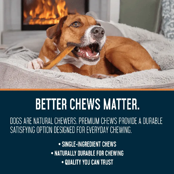 Dogginstix Monster bully stick dog chewing lifestyle