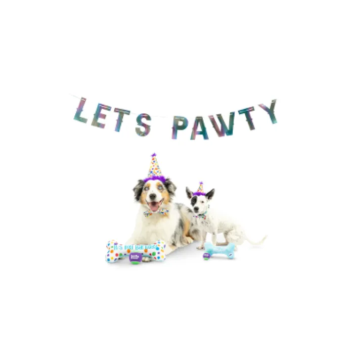 Huxley Kent Pet Celebration Banner Lets Pawty Irid