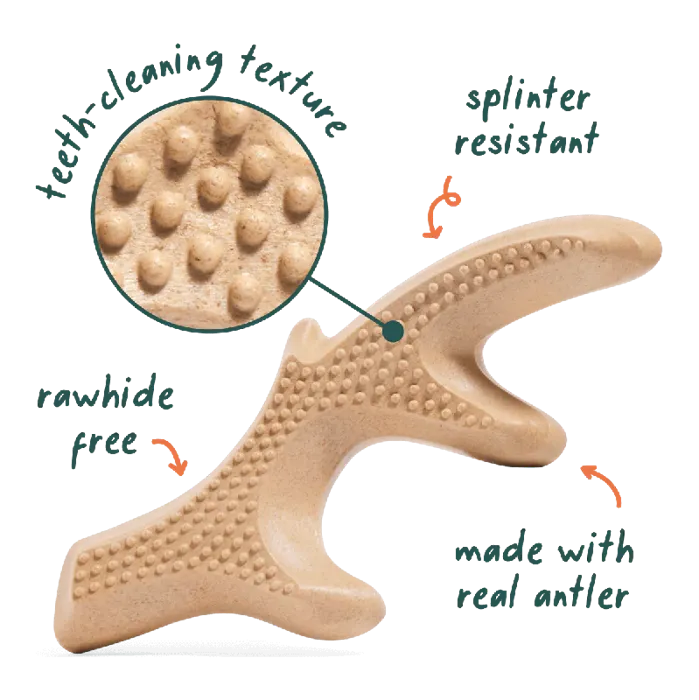 Woof Dog Toy Honestchew Antler Large