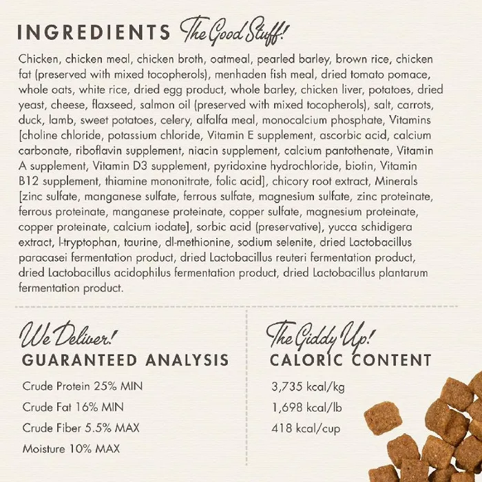 Fromm Adult Gold dry dog food ingredients analysis