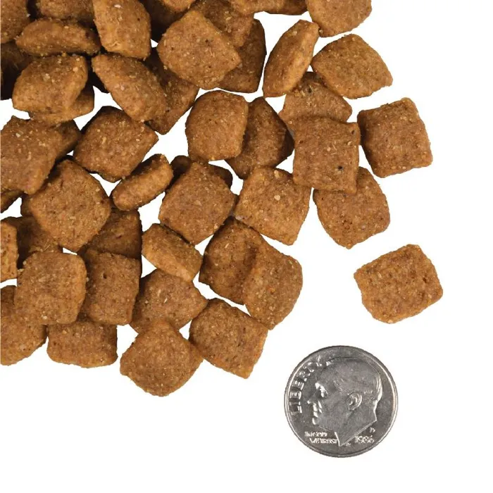 Fromm Adult Gold kibble pieces with dime size reference