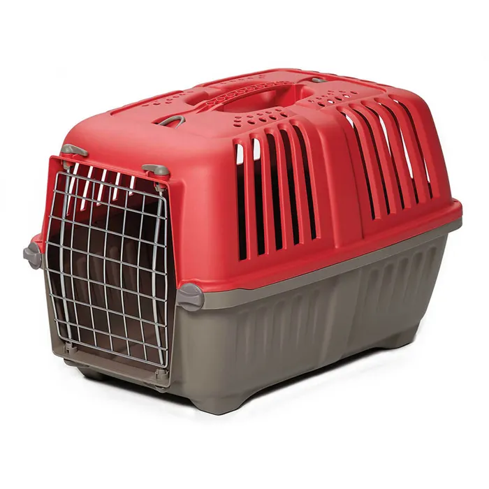 1419spr Spree Red Pet Carr 19"