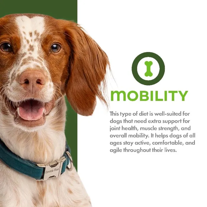 Fromm Nutritionals Mobility Chicken 12#