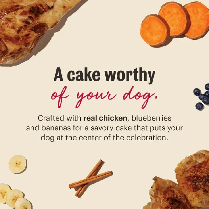 Hk Treat Birthday Cake Mix Chicken & Blueberries