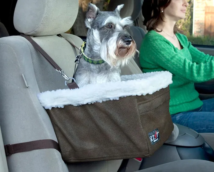 Solvit Tagalong Booster Seat Standard Large