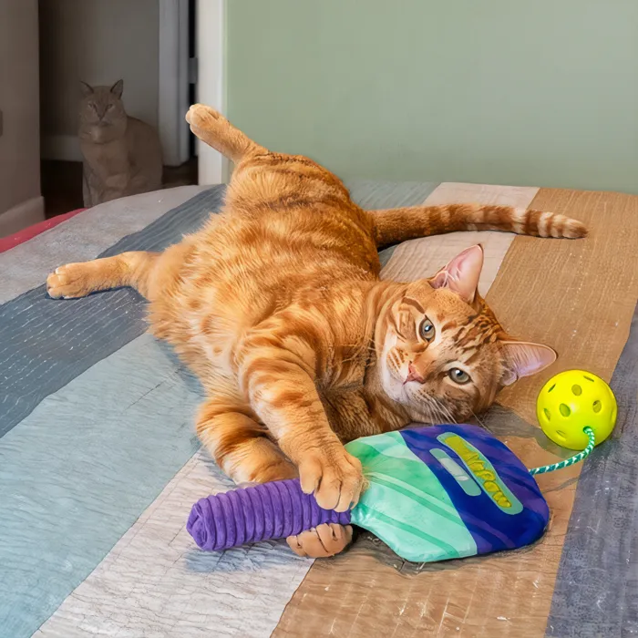 KONG Sport PicklePaw purple cat toy lifestyle