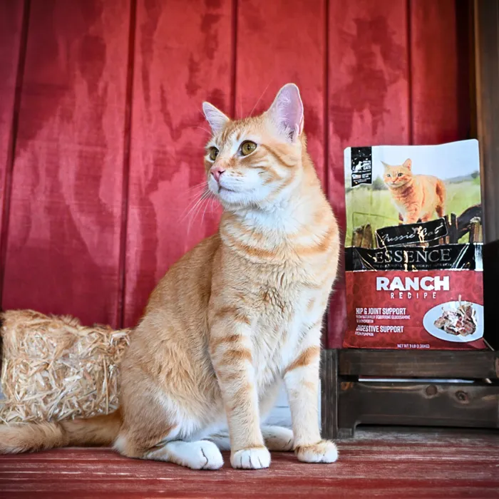 Fussie Cat Essence Ranch Recipe lamb and pork 3-lb with cat