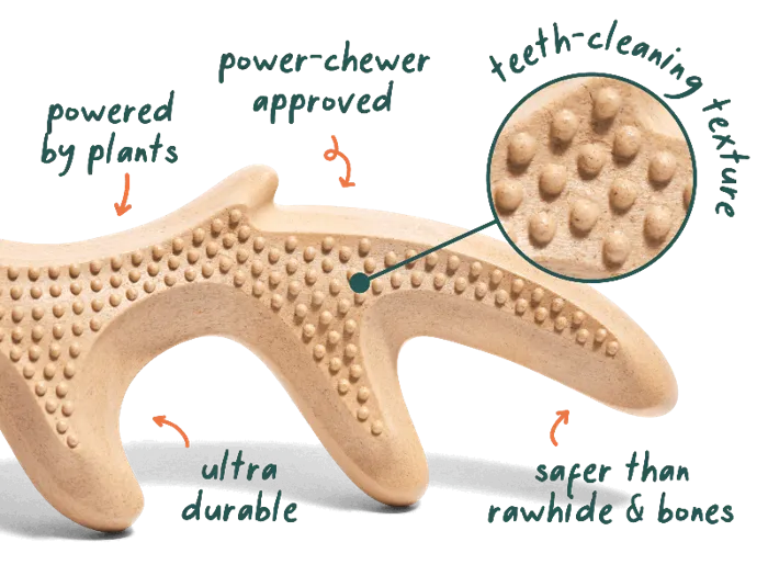 Woof Dog Toy Honestchew Antler Large