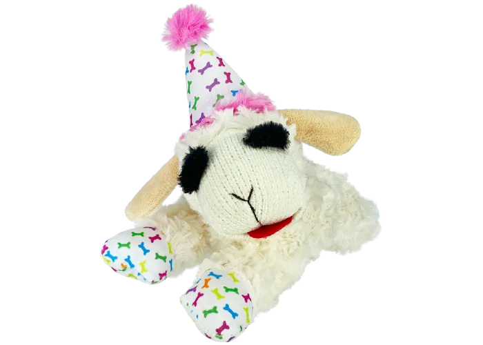 Multipet Dog Lamb Chop With Pink Bday Hat 10.5"