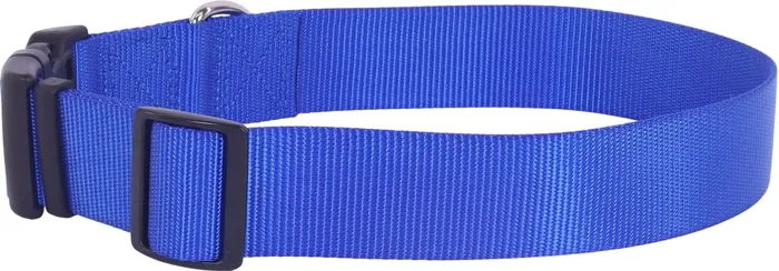 Coastal adjustable dog collar blue, large, angled view
