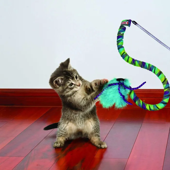 Kong Cat Curlz Teaser