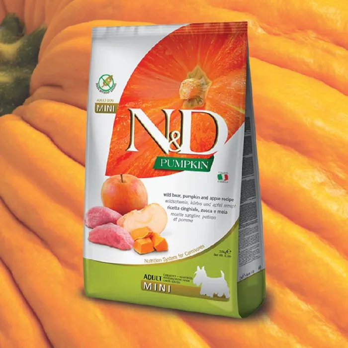 N&D Pumpkin Boar Apple Adult Mini 5.5-lb lifestyle bag