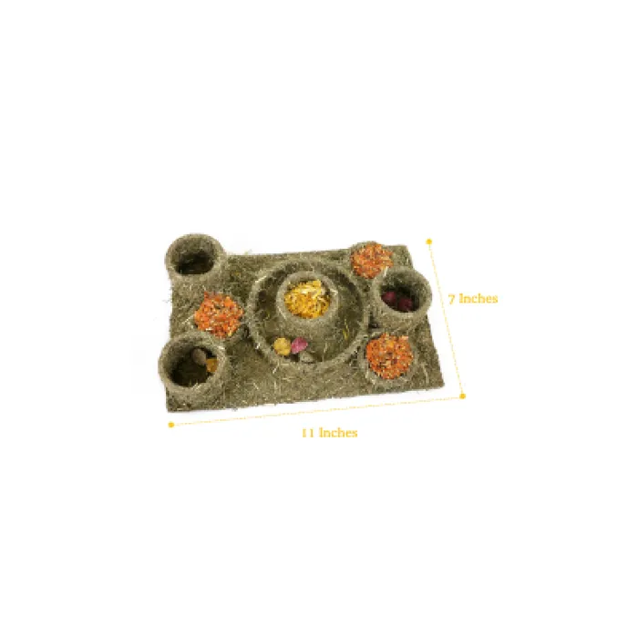 Rosewood Naturals Pet Hide 'n' Treat Maze