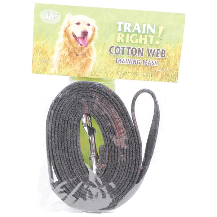 Cotton Web Dog Training Leash - Black 5/8" X 10'