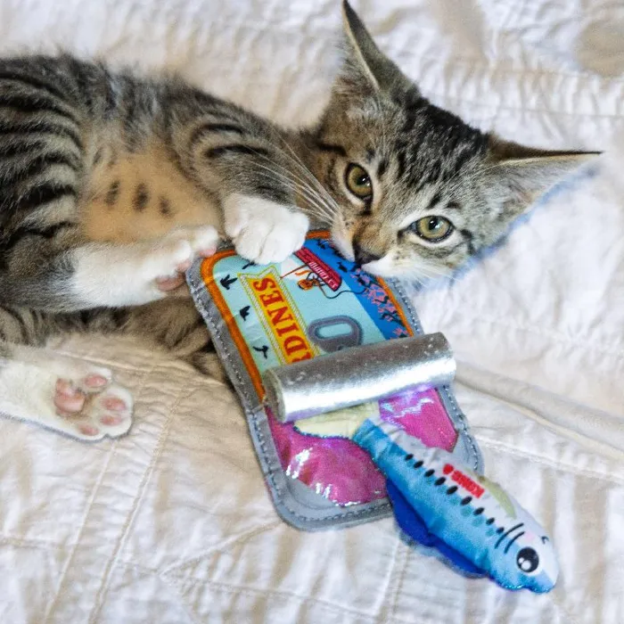 KONG Crackles Sardine cat toy with kitten