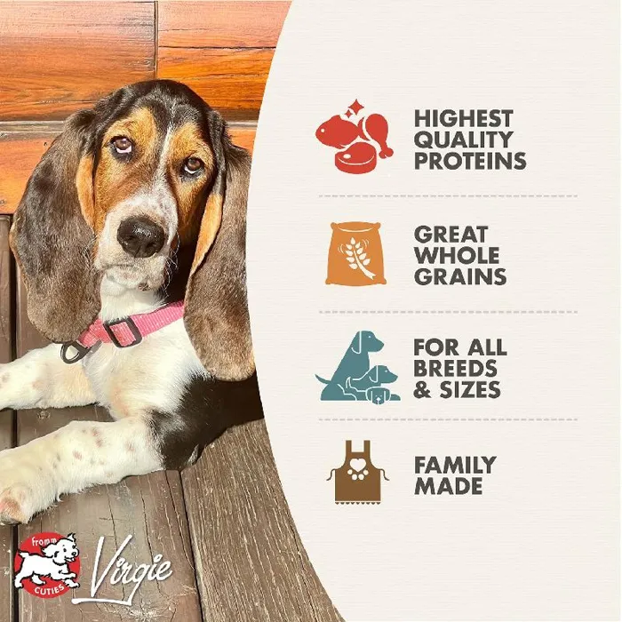 Fromm Adult Gold dry dog food benefits graphic with dog