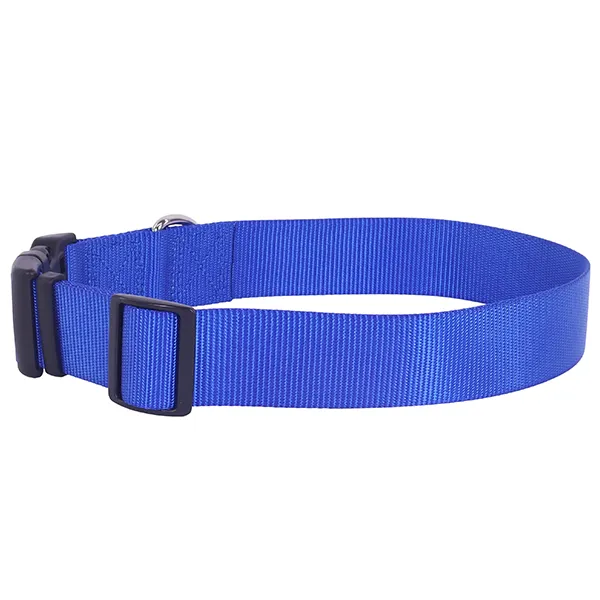 Coastal adjustable dog collar blue, large, side view