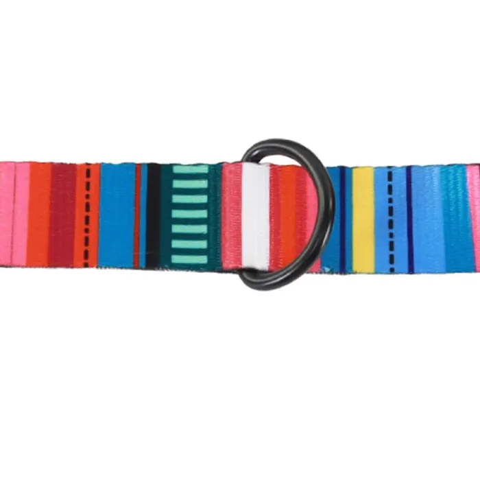 Adjustable Dog Collar Native Stripe - Lrg